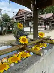 今市報徳二宮神社(栃木県)