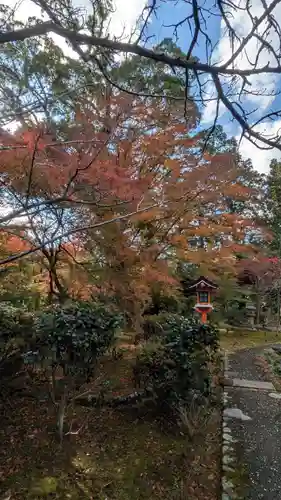 十輪寺(京都府)