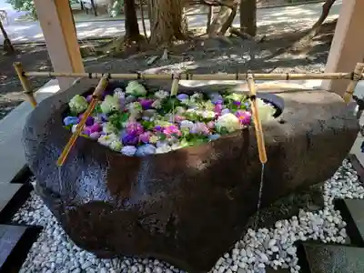 千歳神社の手水舎