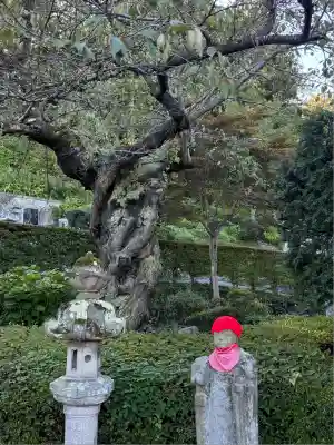 法蔵寺(福島県)