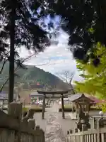 高賀神社の鳥居