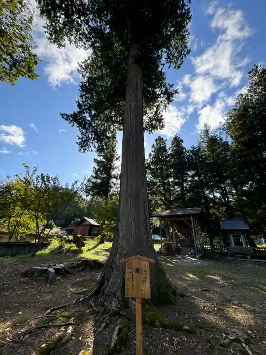 諏訪神社(長野県)
