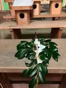 白羽神社(静岡県)(2024年10月26日(土) 22時10分54秒投稿)