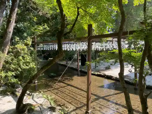 賀茂別雷神社（上賀茂神社）(京都府)
