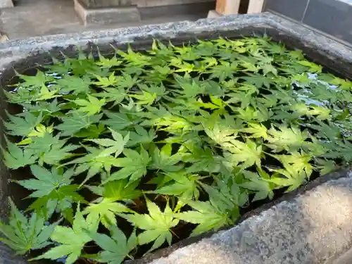 観音寺の手水舎