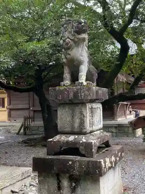 砥鹿神社(里宮)の狛犬