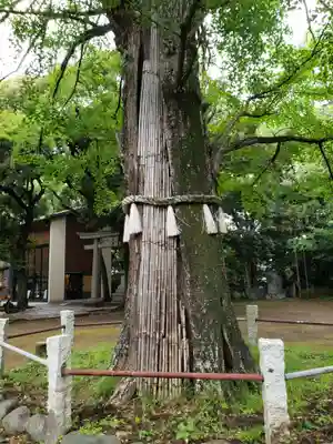 赤坂氷川神社(東京都)