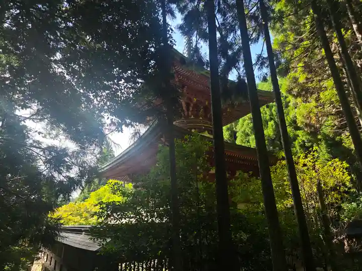 神護寺(京都府)