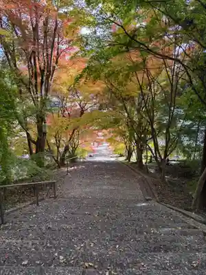 安国寺(京都府)