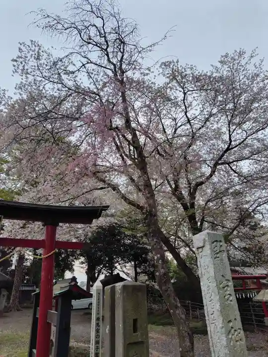 野宮神社(埼玉県)