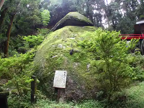 名草厳島神社の自然