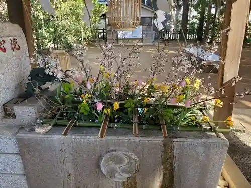 麻賀多神社(千葉県)