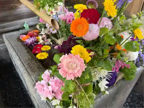 勝林寺(京都府)