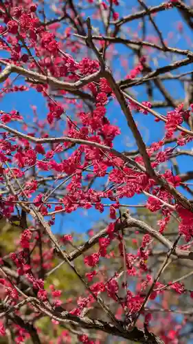 薭田神社(東京都)