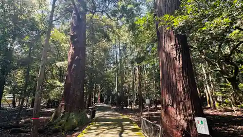 若狭彦神社（上社）(福井県)