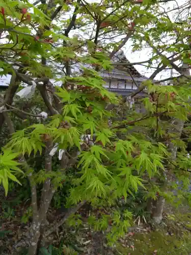 疋野神社(熊本県)