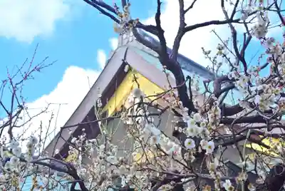 湯島天満宮(東京都)