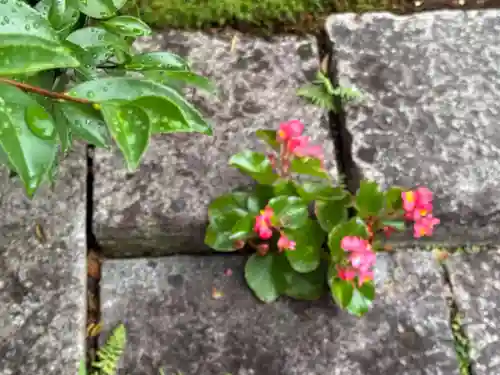 西方山極楽寺(岐阜県)