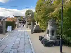 晴明神社の狛犬