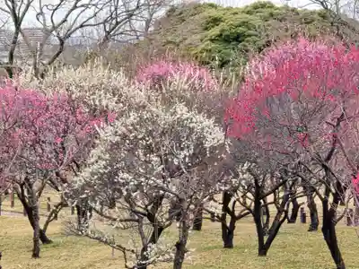 多治速比売神社(大阪府)