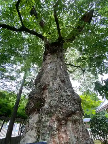 多田神社(兵庫県)