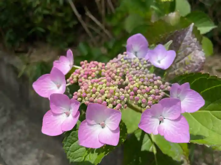 大聖院(高塚不動尊)(千葉県)
