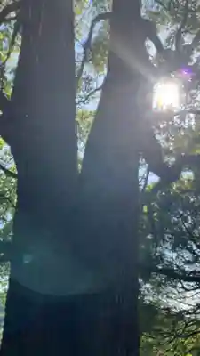 荒神社(岡山県)