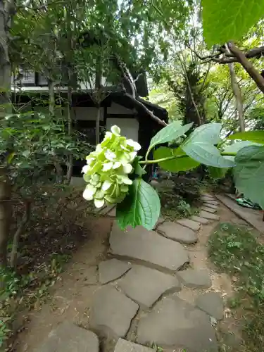 宝玉院の庭園