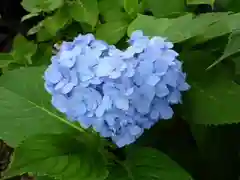 藤森神社の自然