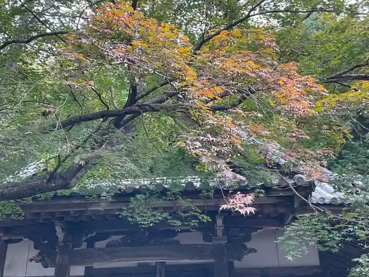 現光寺(京都府)