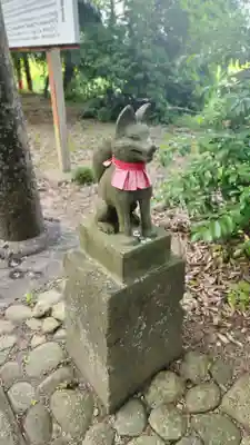 斗瑩稲荷神社の狛犬