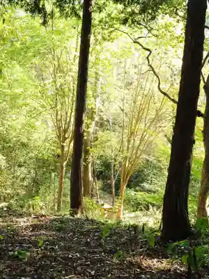 浄土寺(兵庫県)