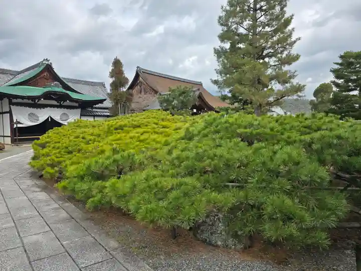 大覚寺(京都府)