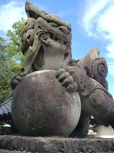 向本折白山神社の狛犬