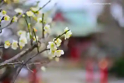 岡村天満宮(神奈川県)