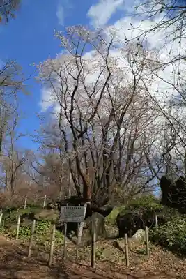 有珠善光寺の自然