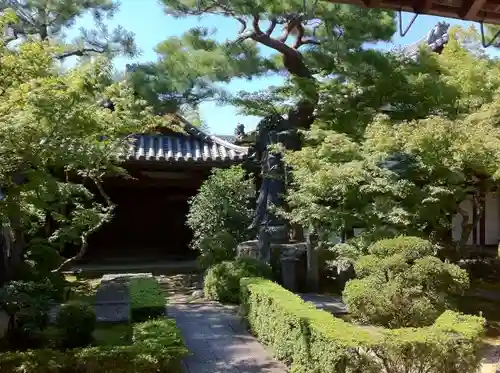 妙心寺（妙心禅寺）の庭園