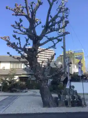 福重寺(愛知県)