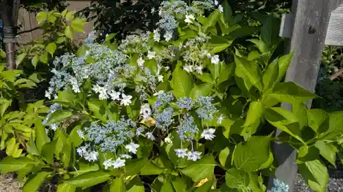 新知恩院(滋賀県)