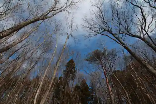 愛宕神社の景色