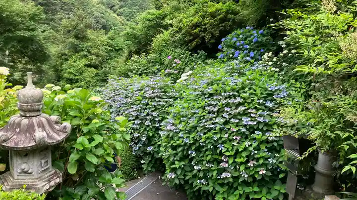 西法院(岡山県)