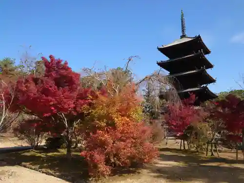 仁和寺の塔