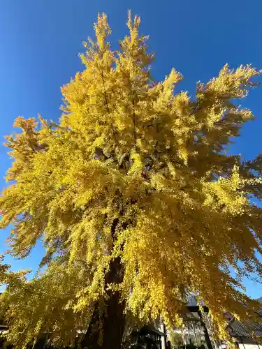 丹生酒殿神社(和歌山県)