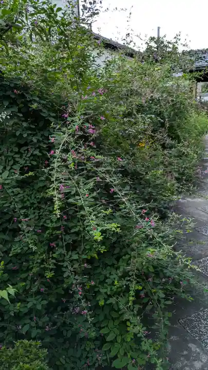 福田寺(京都府)