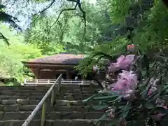 室生寺の本殿