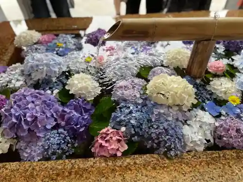 鶴岡八幡宮の手水舎