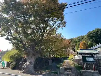 横浜　西方寺のその他建物