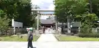 浅草神社の鳥居