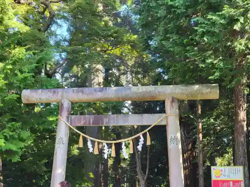 日吉神社の鳥居