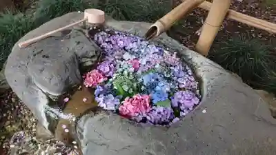 馬場氷川神社の手水舎